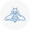 Bee Nest Removal Macclesfield