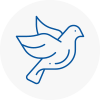 Bird Prevention Macclesfield