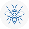 Macclesfield Hornet Nest Removals