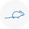 Mice Exterminators In Macclesfield