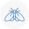 Moth Control Specialists In Macclesfield