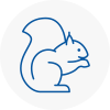 Macclesfield Rodent Removals